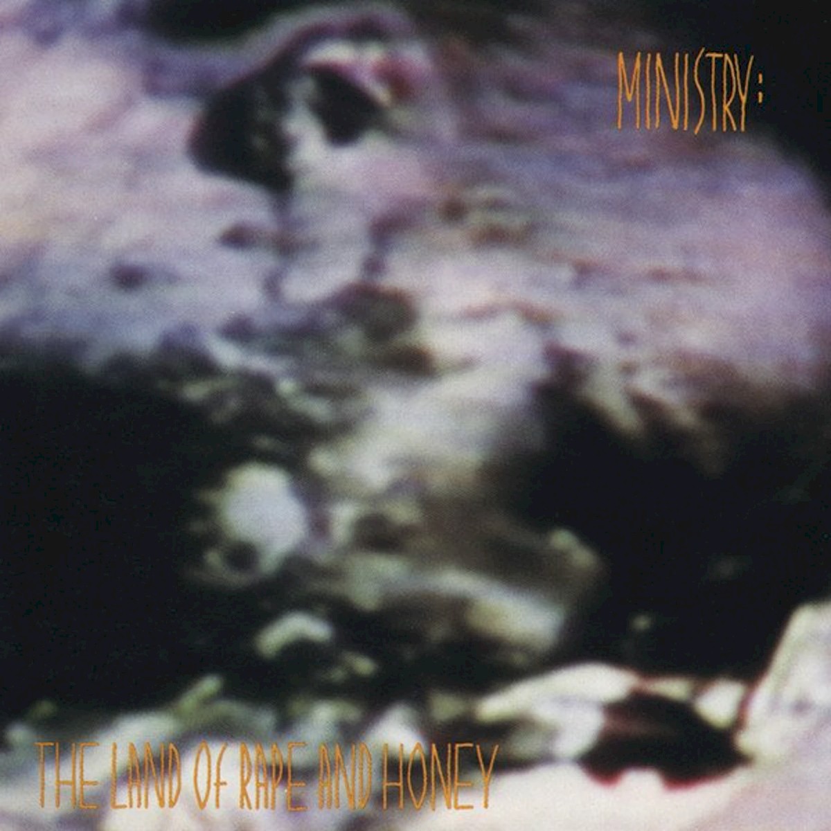 The Land Of Rape And Honey cover