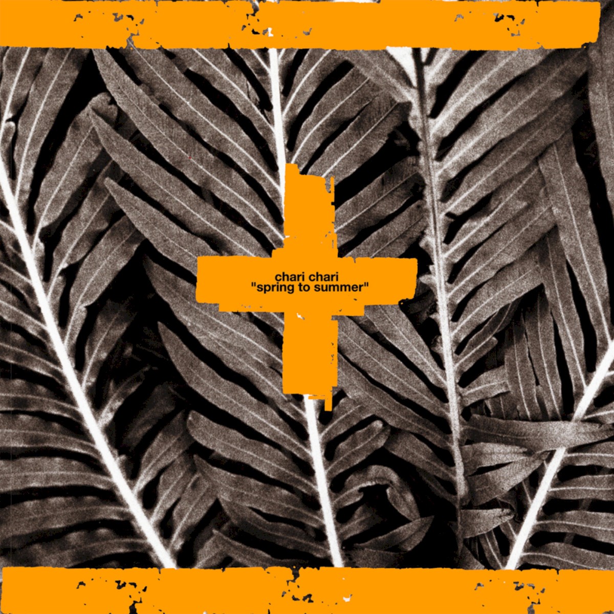 Spring To Summer cover