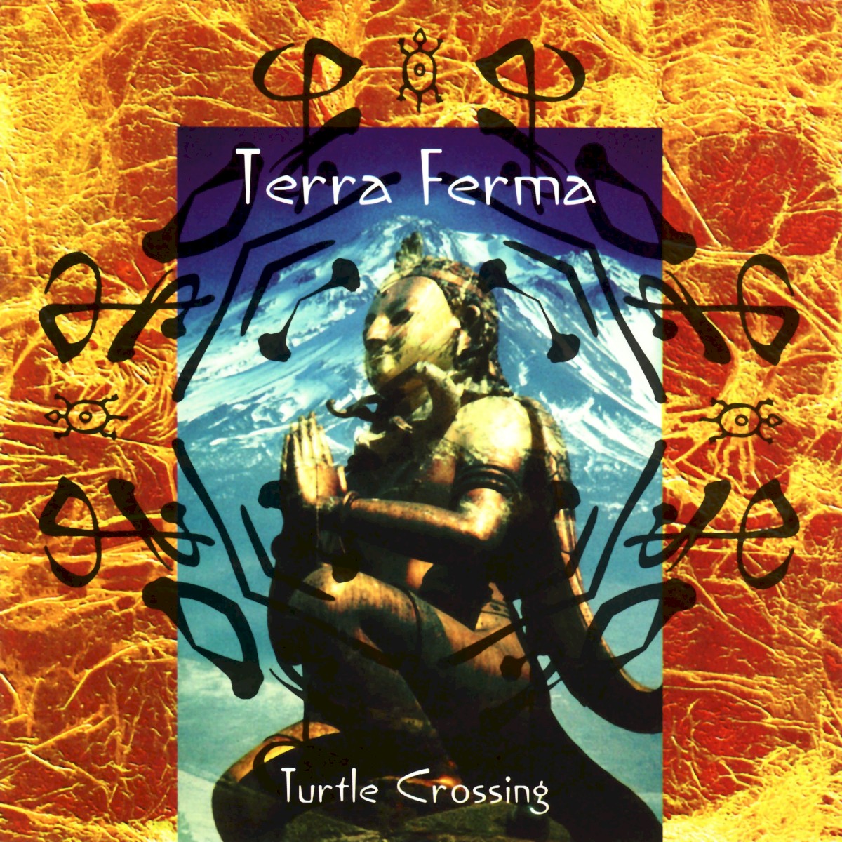 Turtle Crossing cover