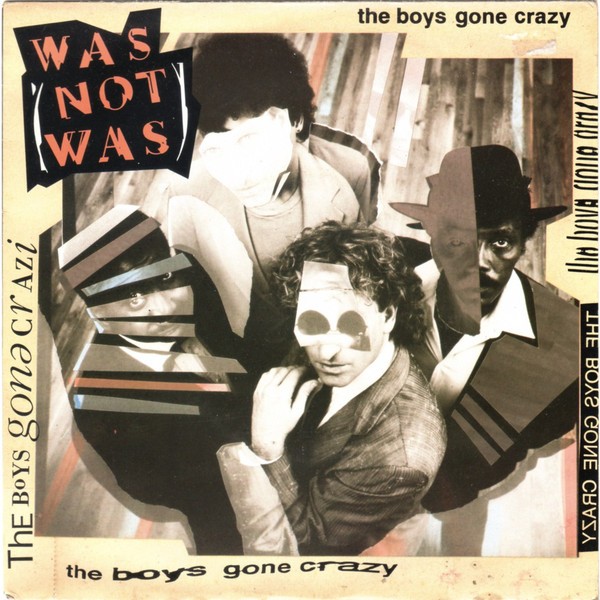The Boys Gone Crazy cover