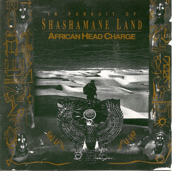 In Pursuit Of Shashamane Land cover