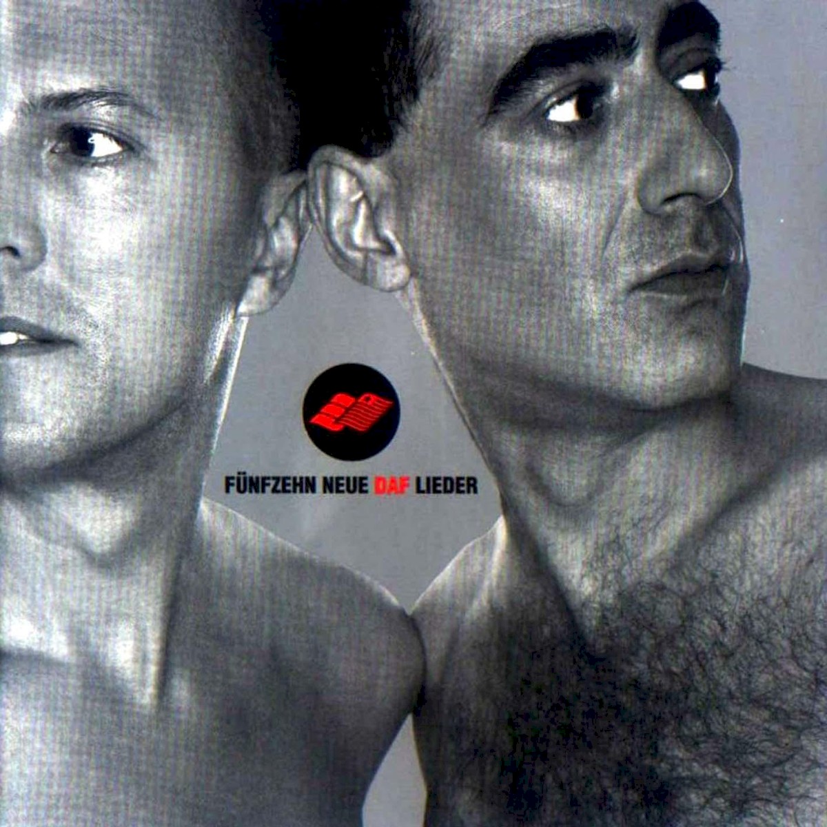 Fünfzehn Neue DAF Lieder cover