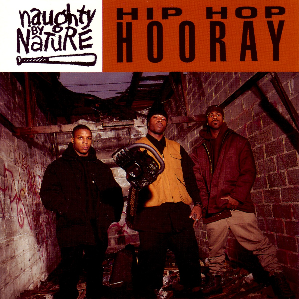 Hip Hop Hooray cover
