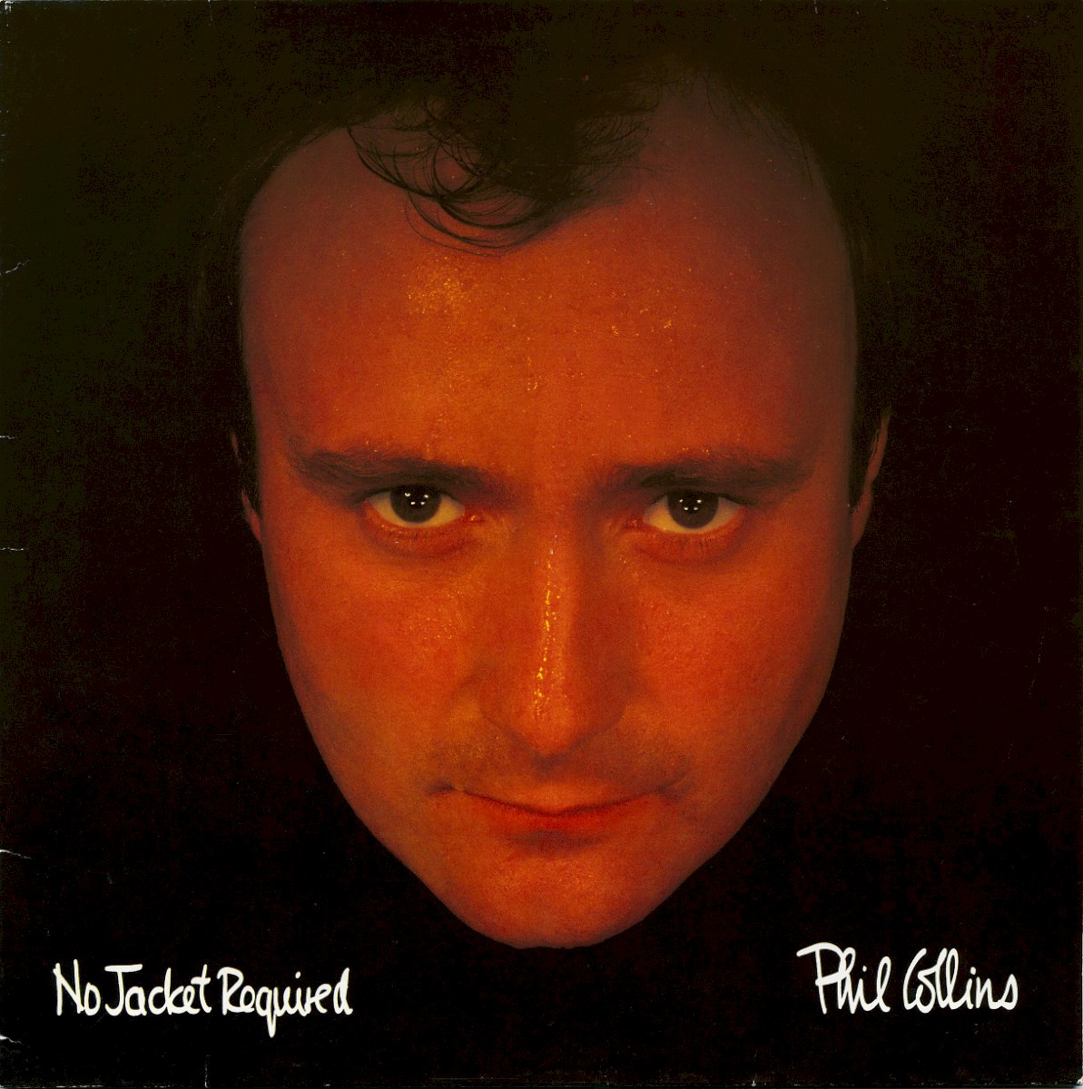 No Jacket Required cover