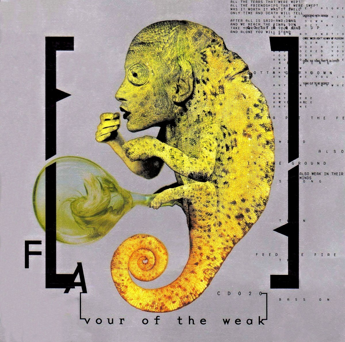 FLAvour Of The Weak cover