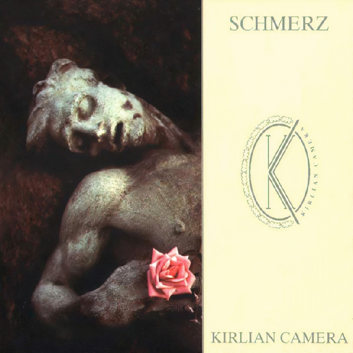 Schmerz cover