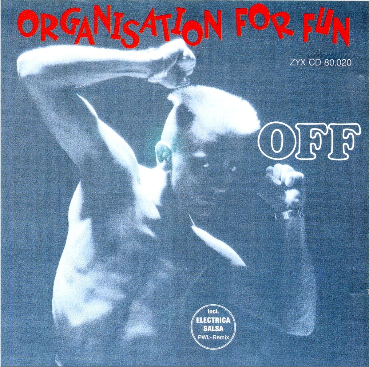 Organisation For Fun cover