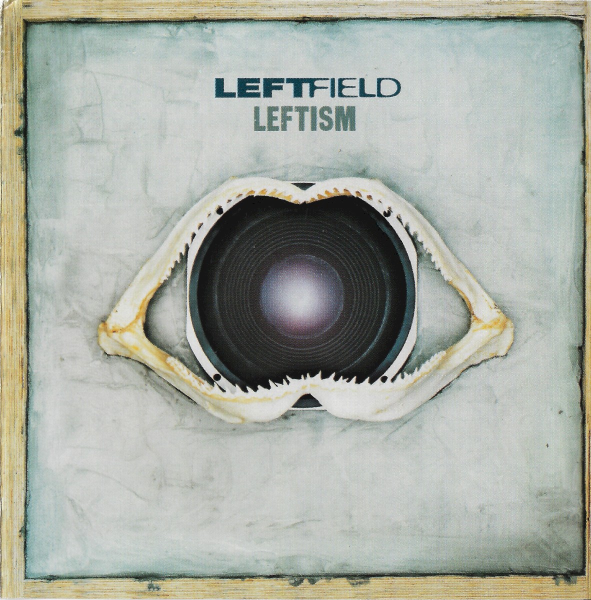 Leftism cover
