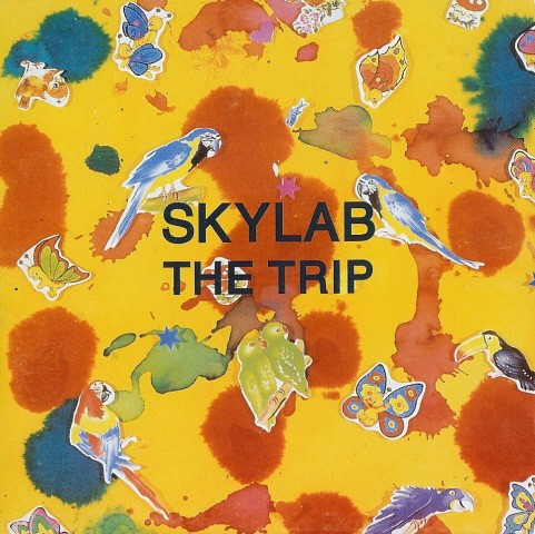 The Trip cover