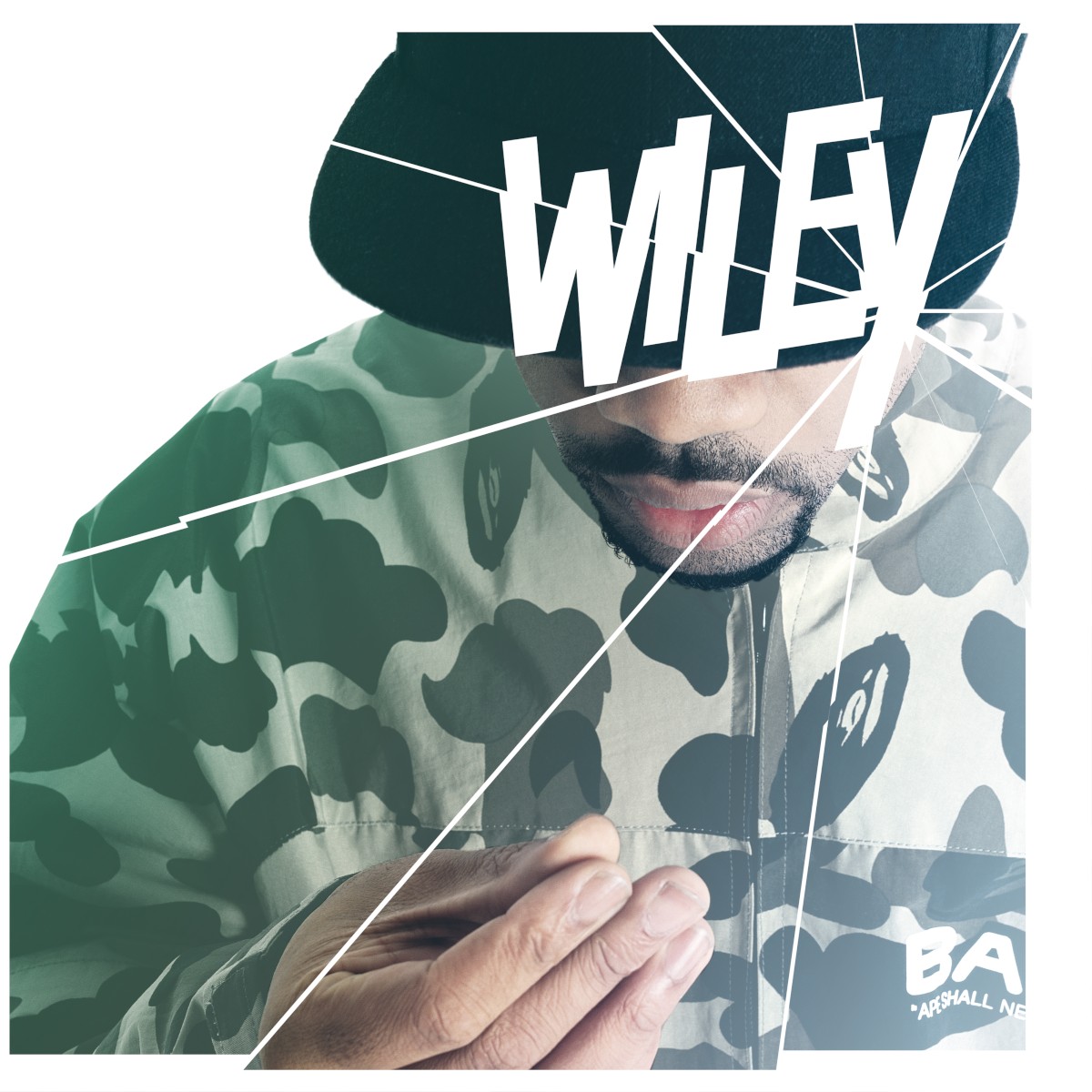 Wot Do U Call It ? cover