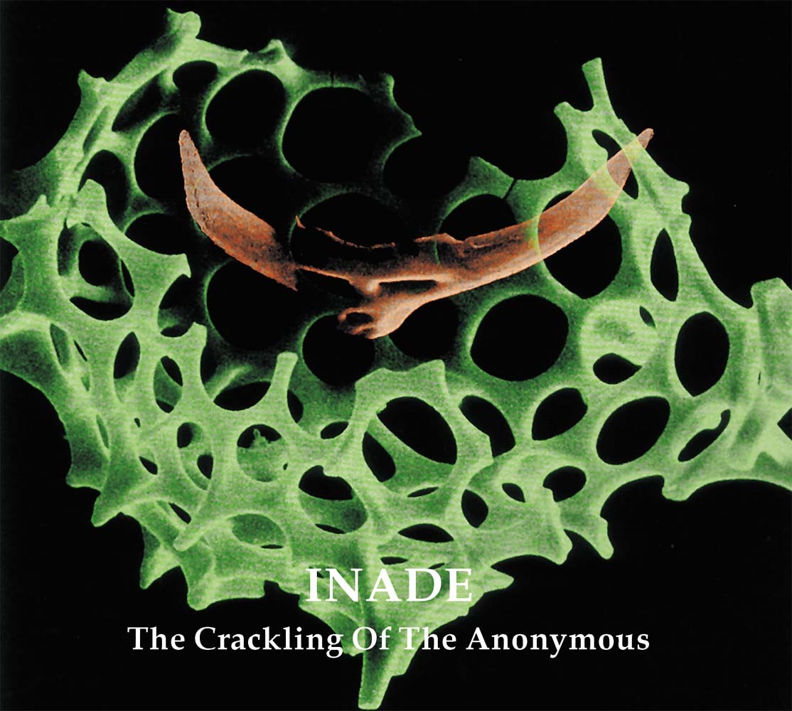 The Crackling Of The Anonymous cover