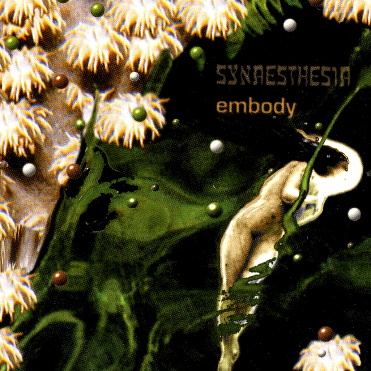 Embody cover