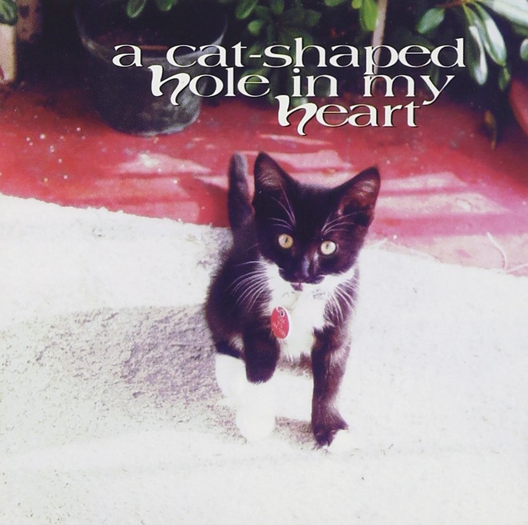 A Cat-Shaped Hole In My Heart cover