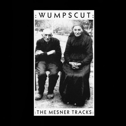 The Mesner Tracks cover