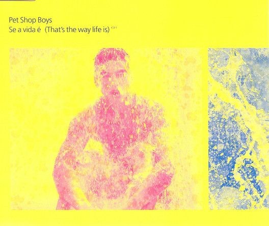 Se A Vida É (That's The Way Life Is) cover