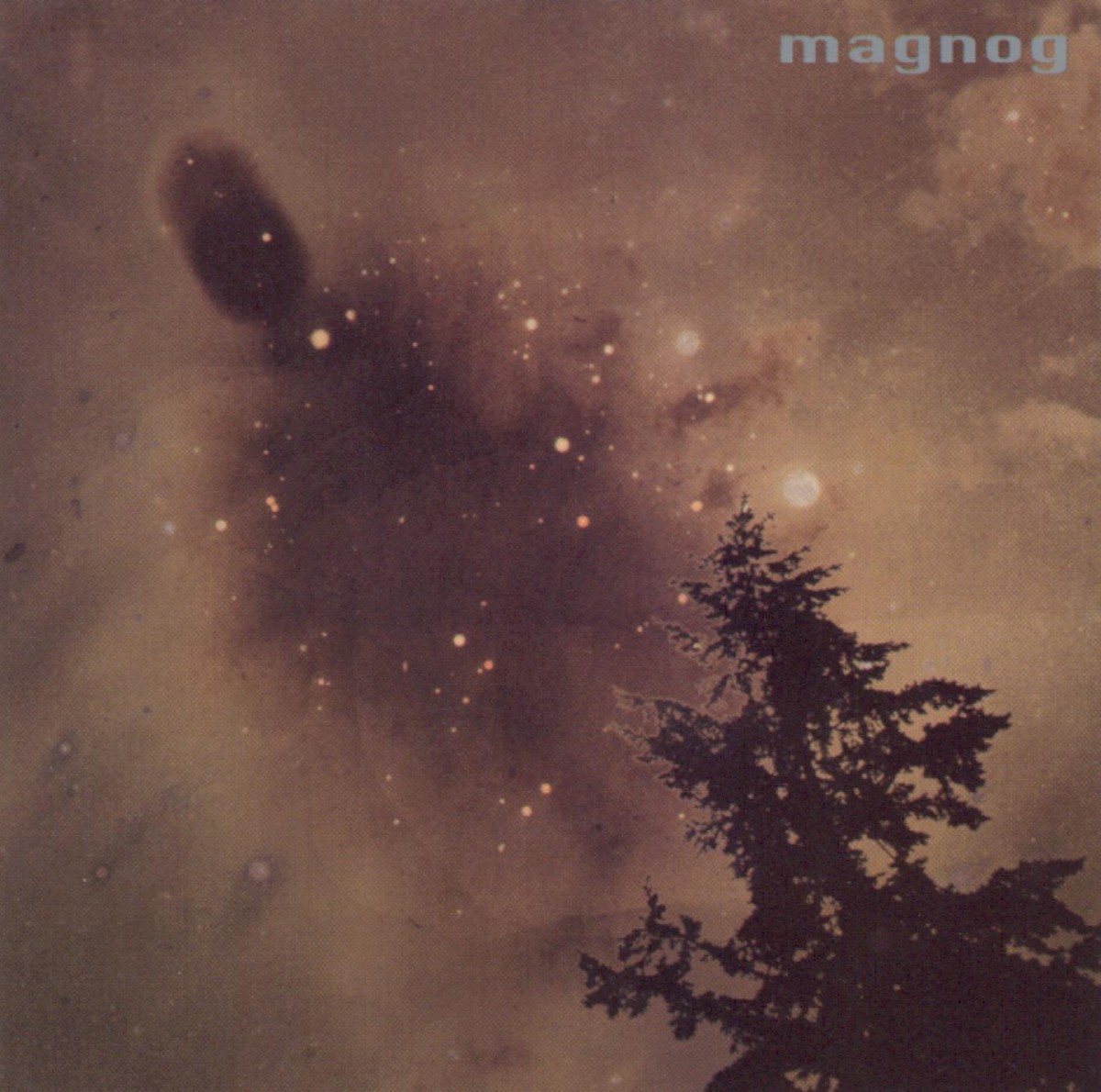 Magnog cover