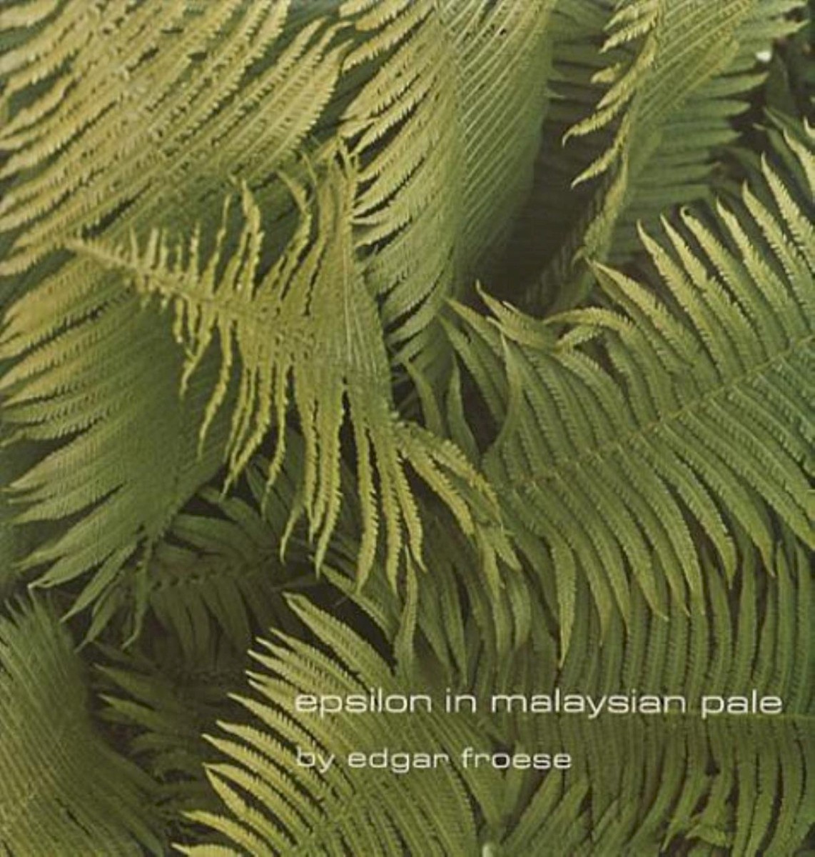 Epsilon In Malaysian Pale cover