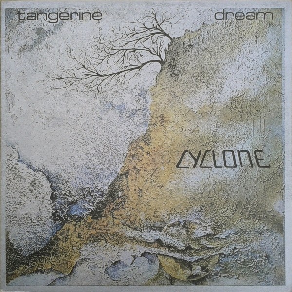 Cyclone cover