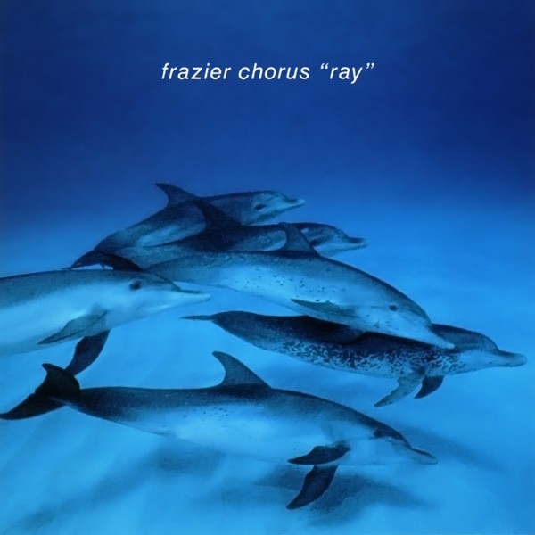Ray cover