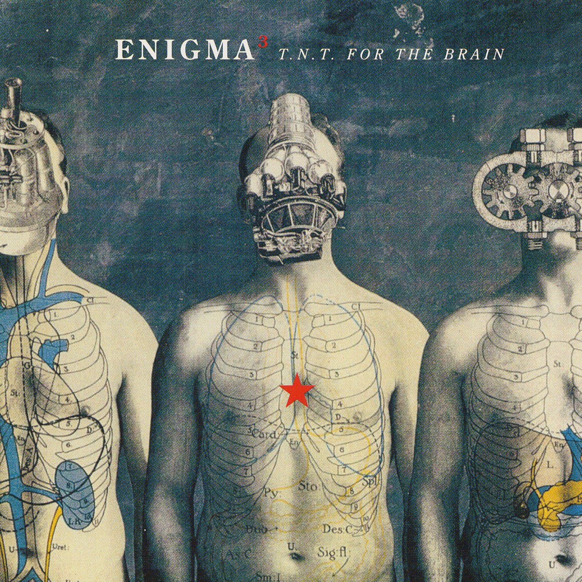 T.N.T. For The Brain cover