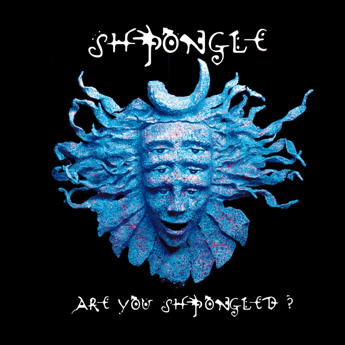 Are You Shpongled? cover