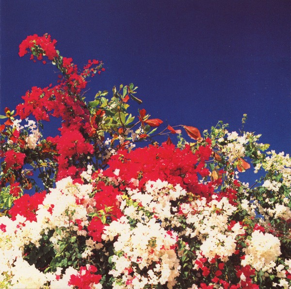 The Tijuana Remixes cover