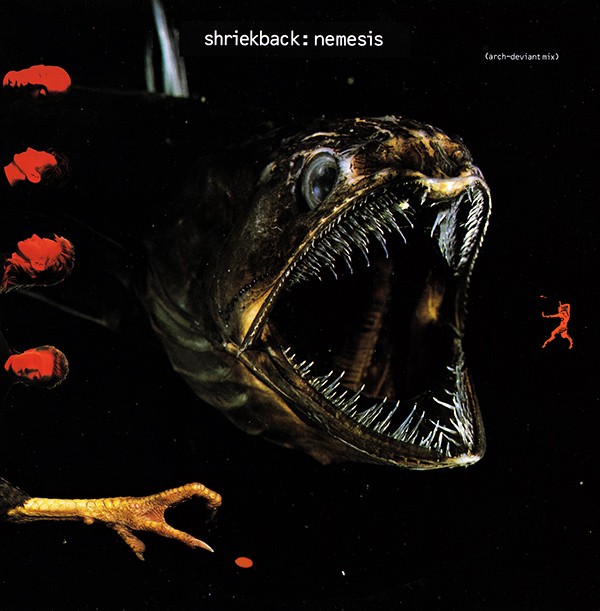 Nemesis cover