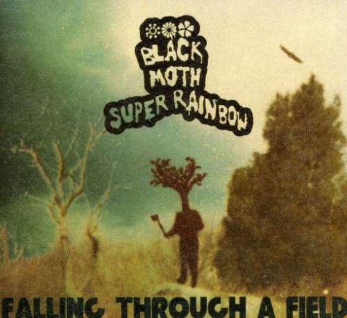 Falling Through A Field cover