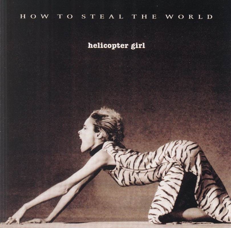 How To Steal The World cover