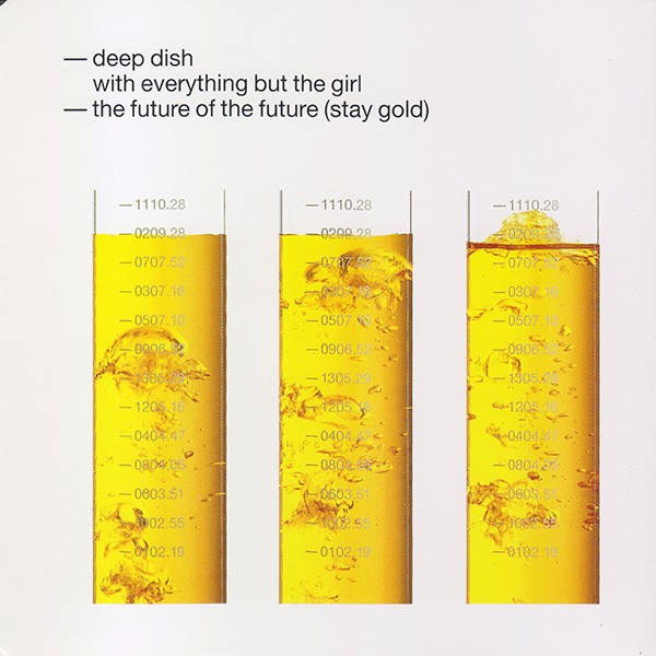 The Future Of The Future (Stay Gold) cover