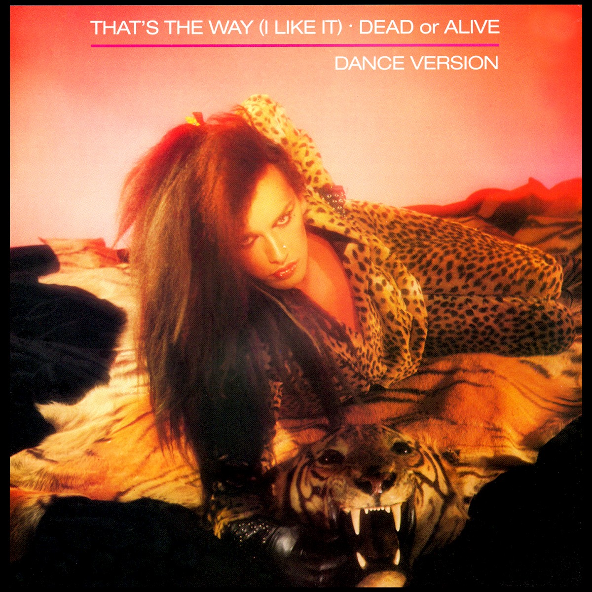That's The Way (I Like It) cover