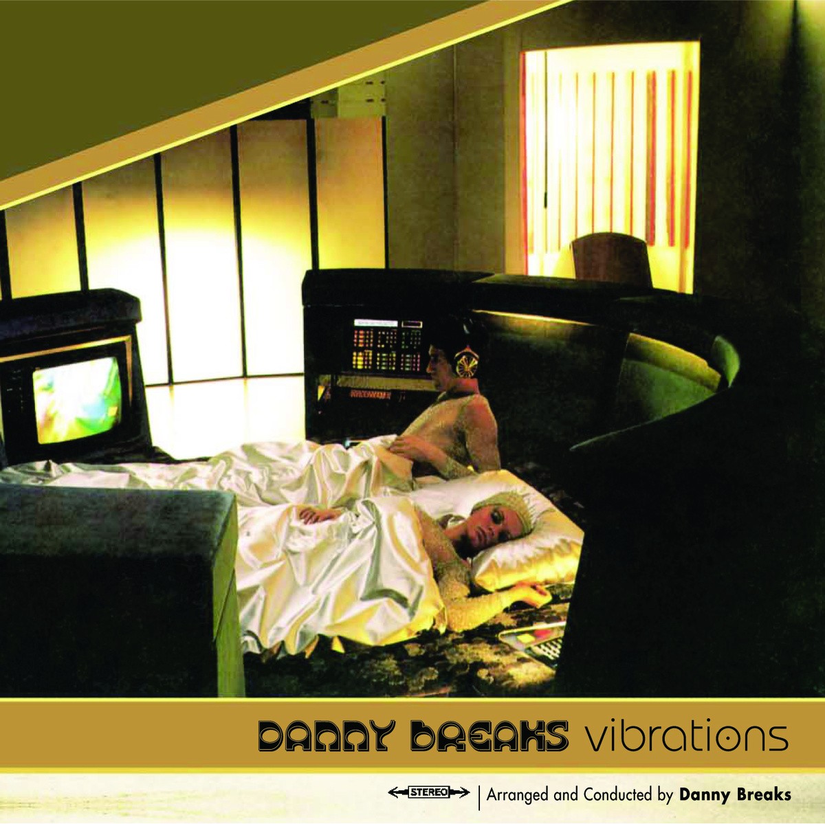 Vibrations cover
