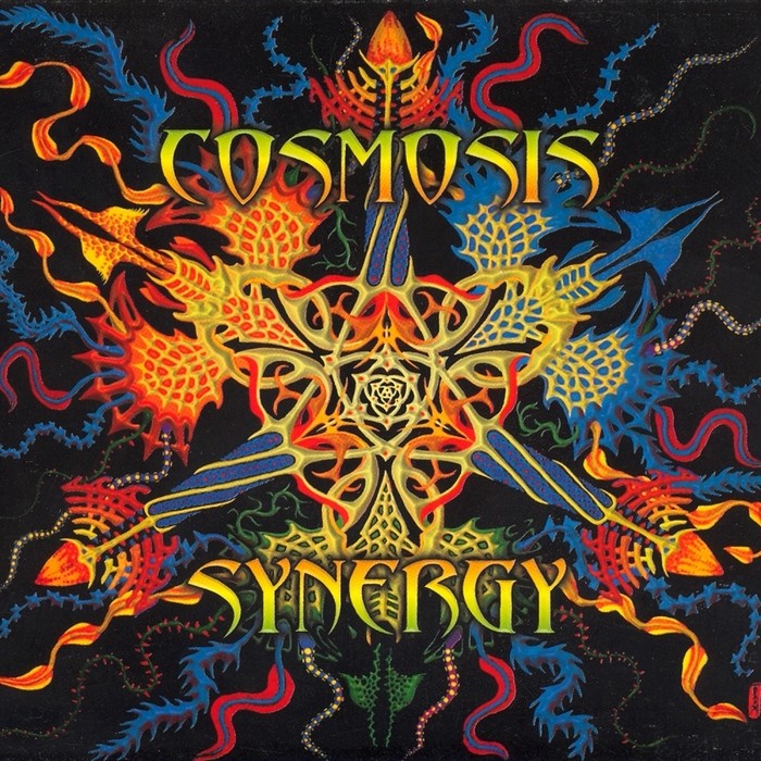 Synergy cover