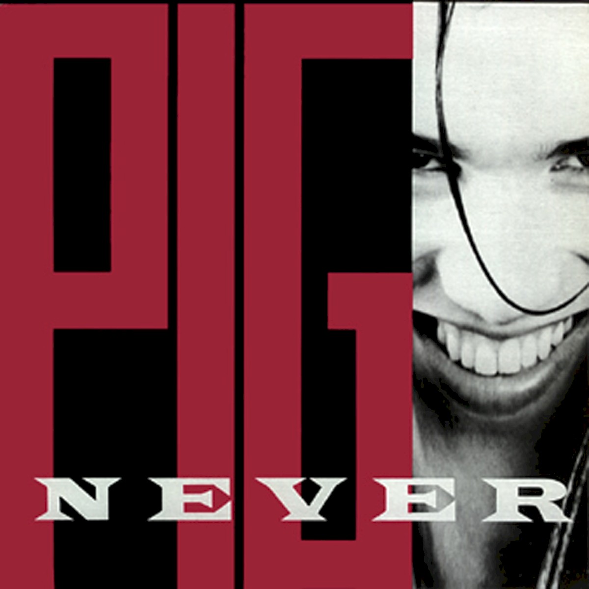 Never For Fun cover