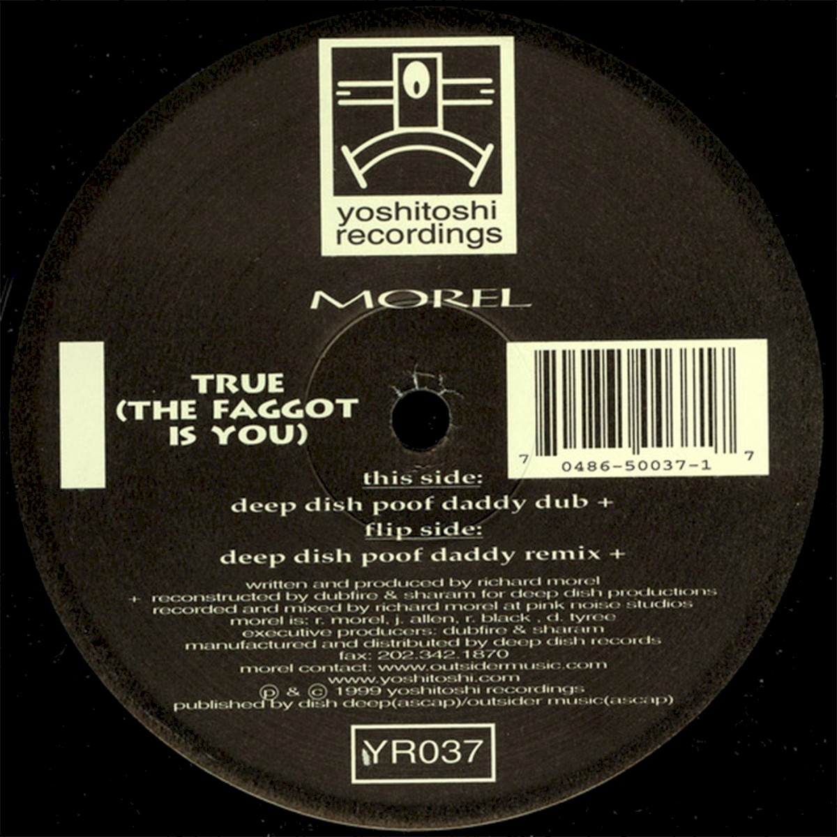 True (The Faggot Is You) cover