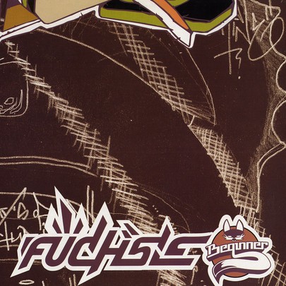 Füchse cover