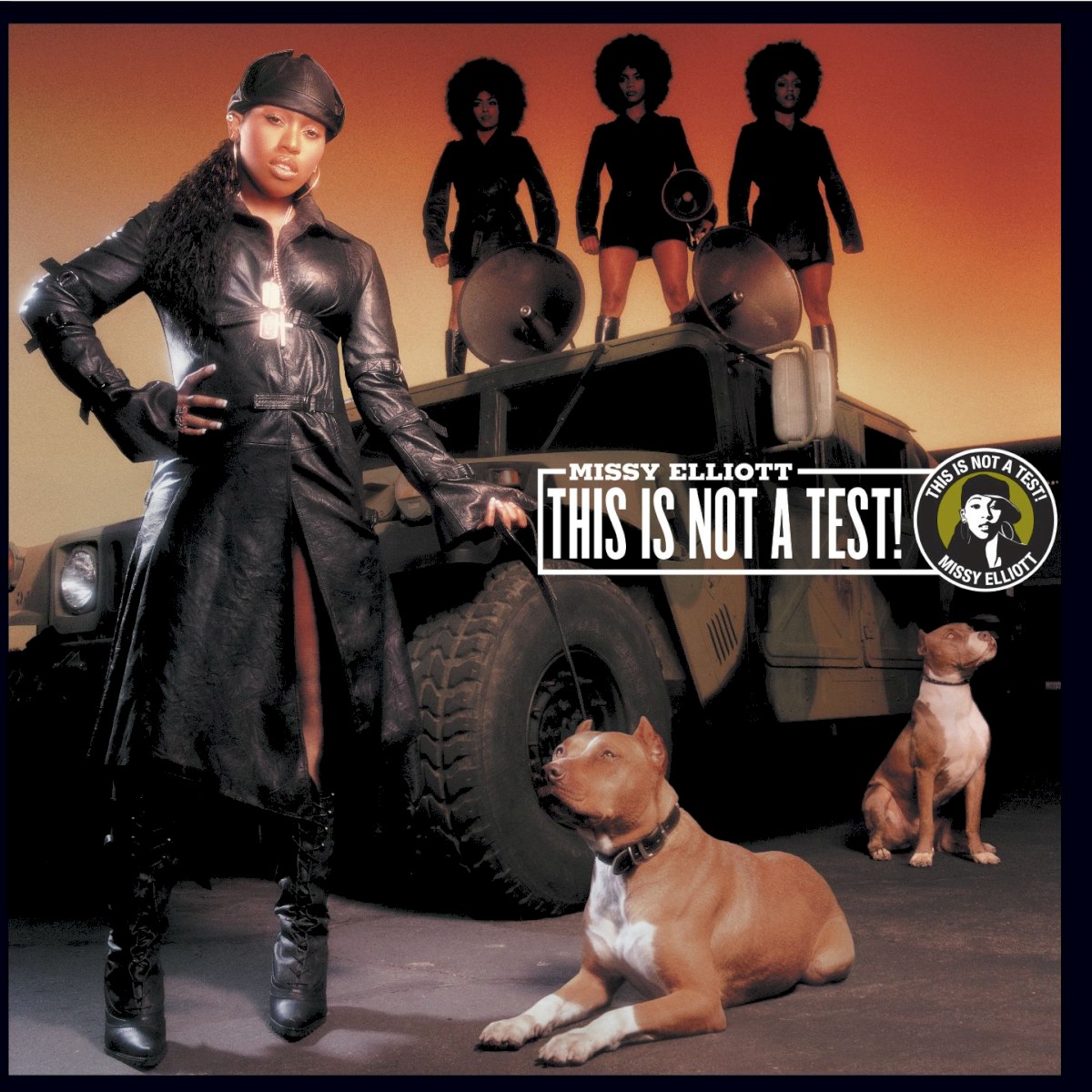 This Is Not A Test! cover