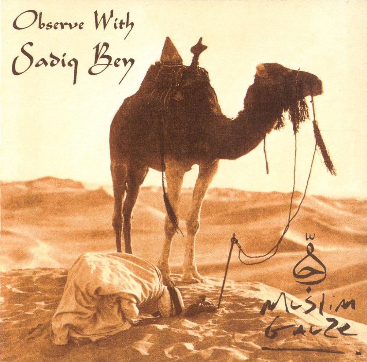 Observe With Sadiq Bey cover