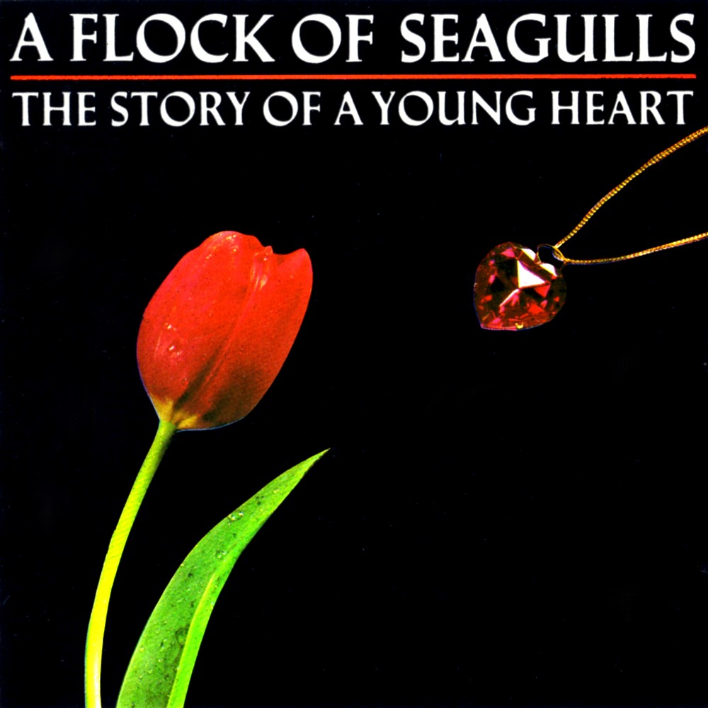 The Story Of A Young Heart cover