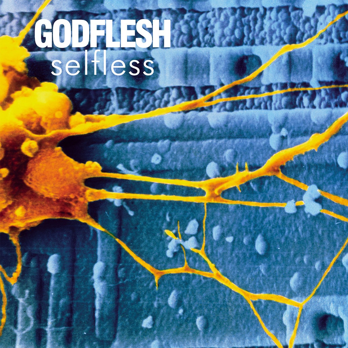 Selfless cover