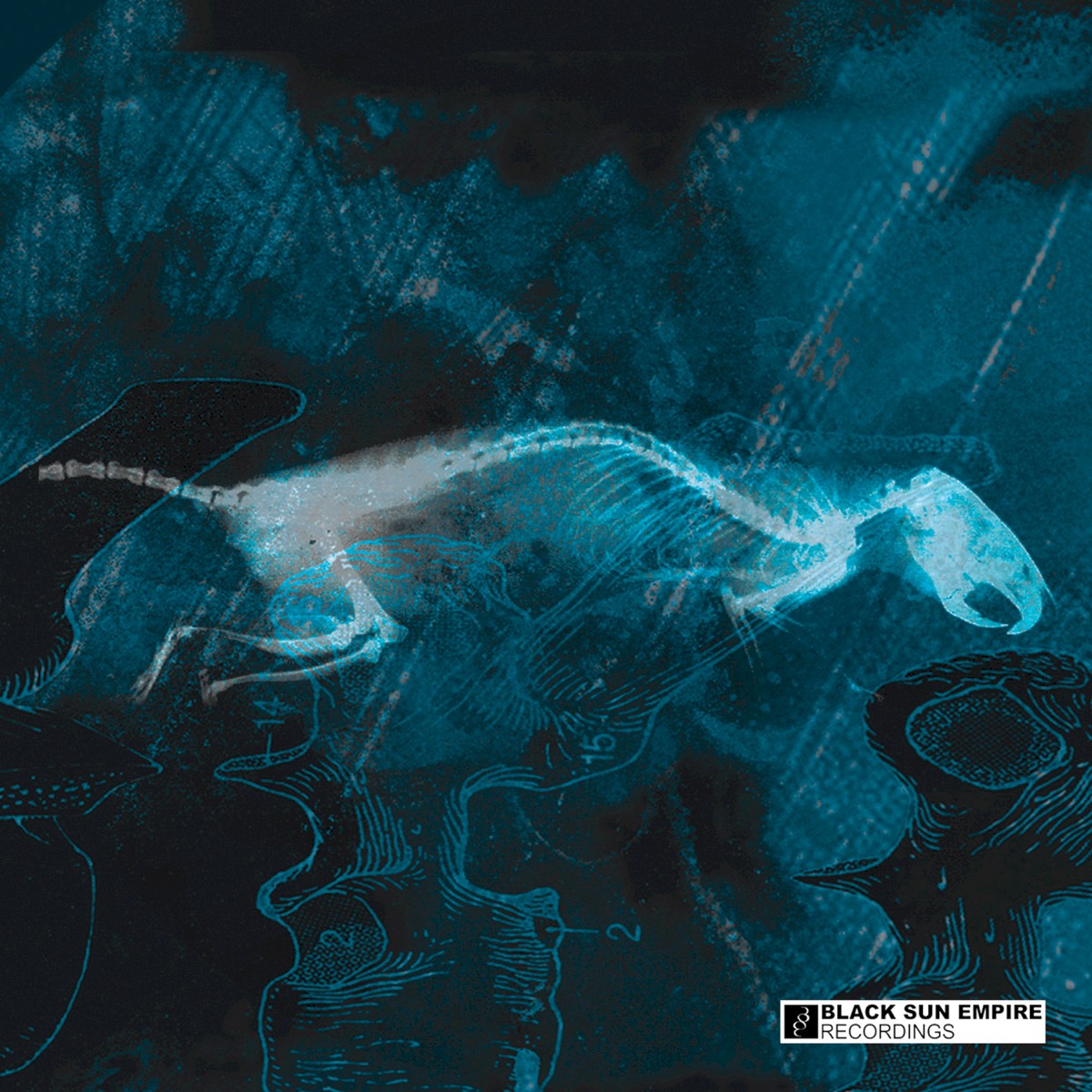 The Rat / B'Negative cover
