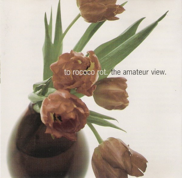 The Amateur View cover
