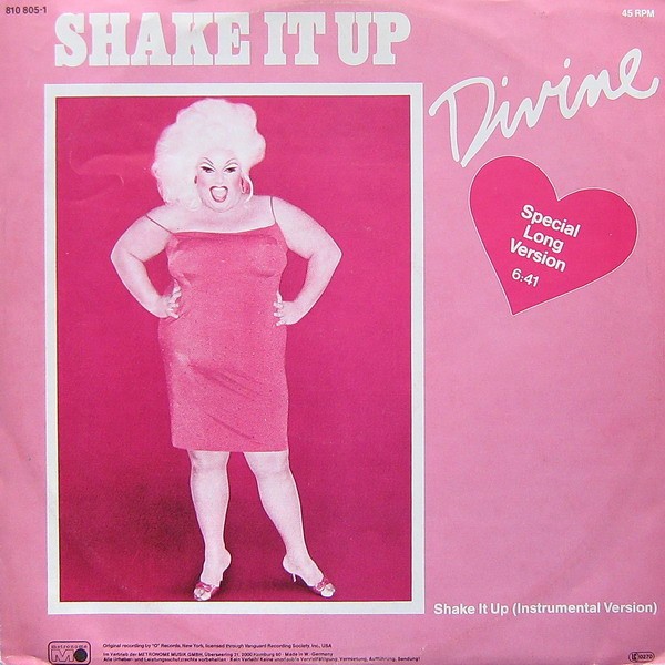 Shake It Up cover