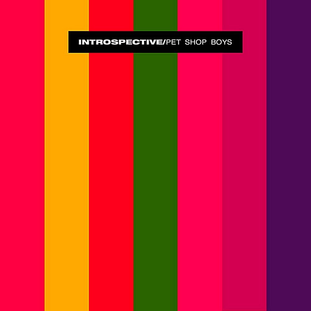 Introspective cover