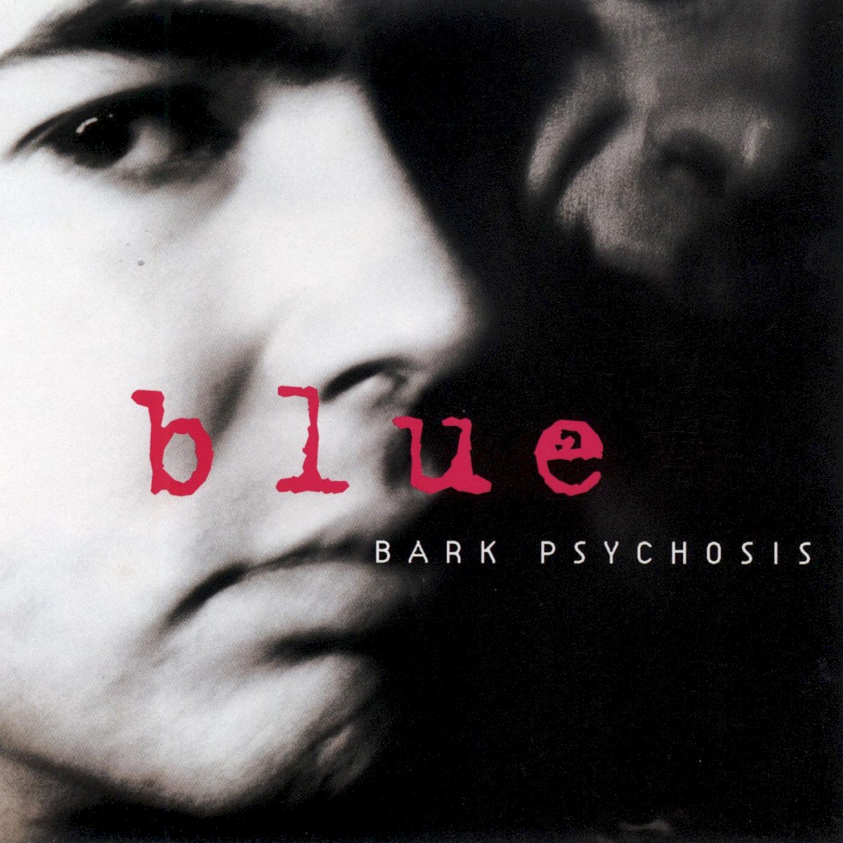 Blue cover