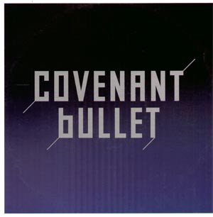 Bullet cover