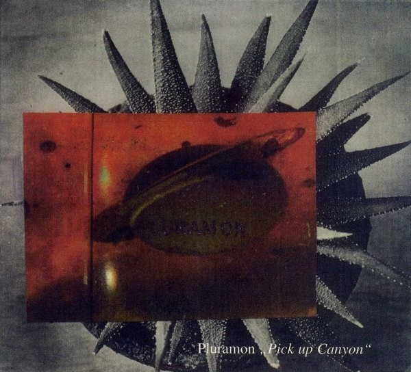 Pick Up Canyon cover