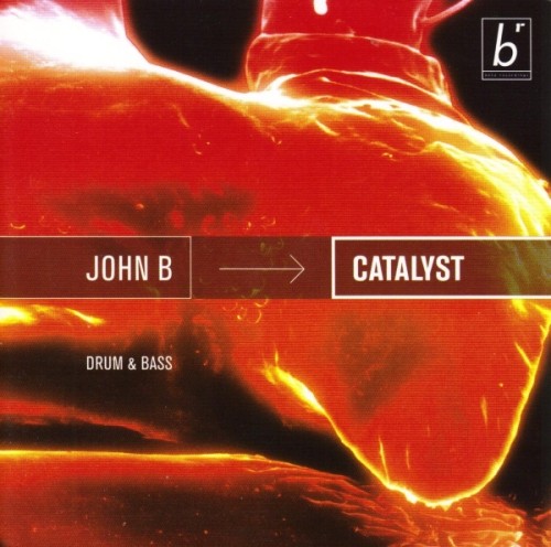 Catalyst cover