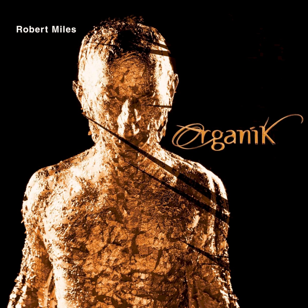 Organik cover