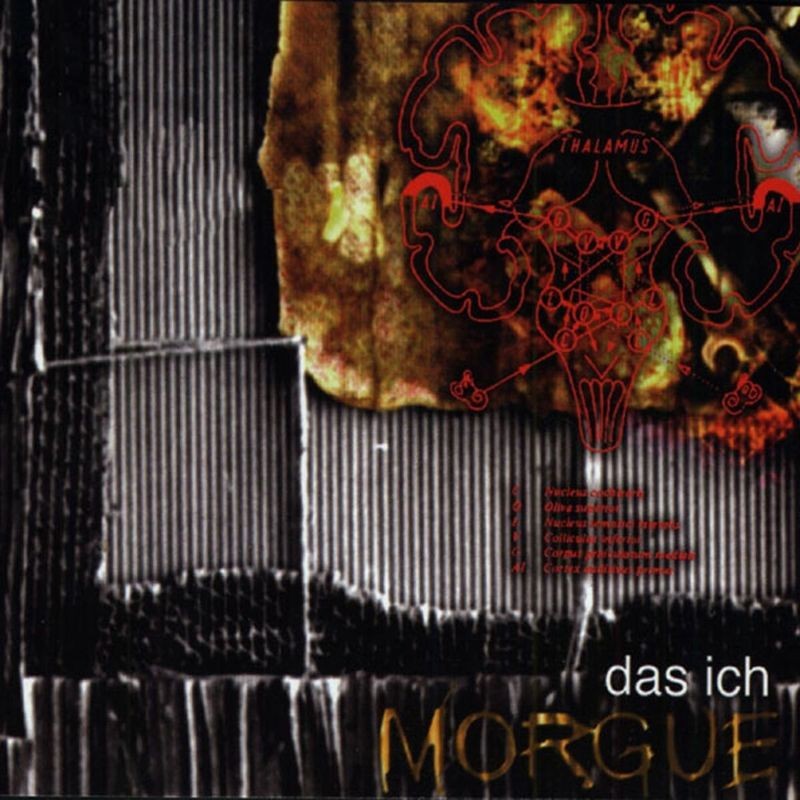Morgue cover